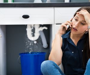 About Plumbers Pros Agate, ND